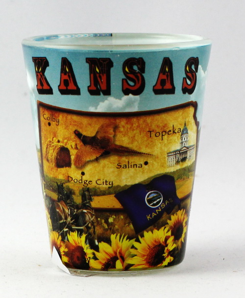 Route 66 Distressed Poster Design Shot Glass